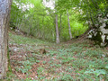 #2: From the Confluence Point looking South