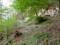 #5: From the Confluence Point looking East