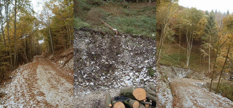 Confluence in the center with forest road to (north) & from (south)