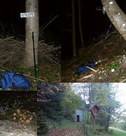 CP at dawn with beech wood and hut with memorial