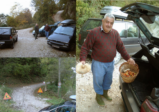 Forest road with junction and mushroom collectors