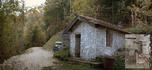 #8: End of forest road with shelter hut