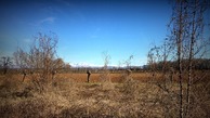 #4: View south / Blick nach Süden