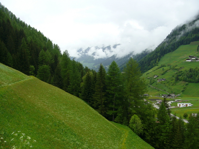 View towards the point in the woods (240m) with path