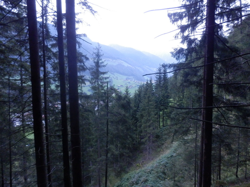 View into the Valley at 20 m Distance