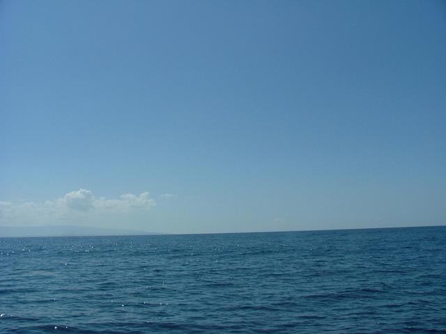 Confluence in Water. 9.9 miles from Black River, Jamaica