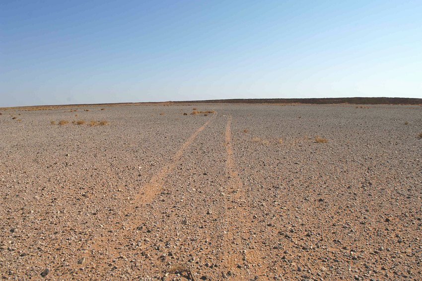 Looking East from Confluence