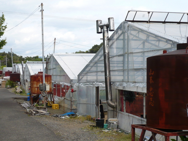 The plastic greenhouses near the confluence