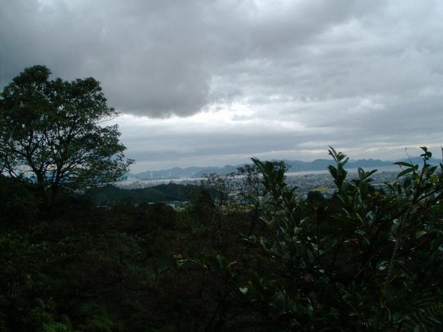 View to NE from point +/- 60 meters