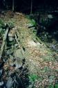 #8: Small wooden bridge