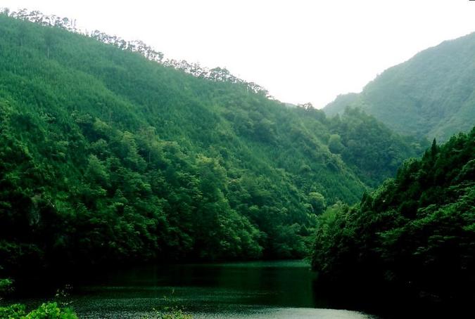 Kitayama River. View towards Confluence from the northeast