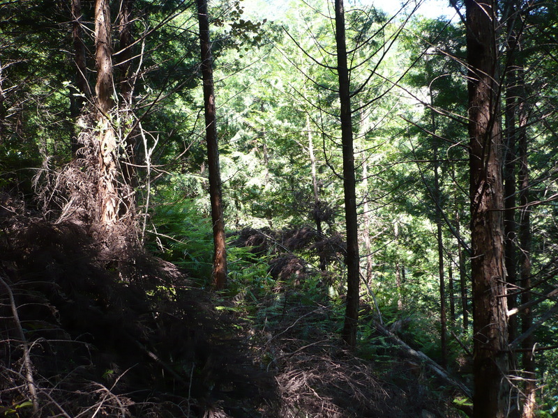 Overall the confluence from the east side.