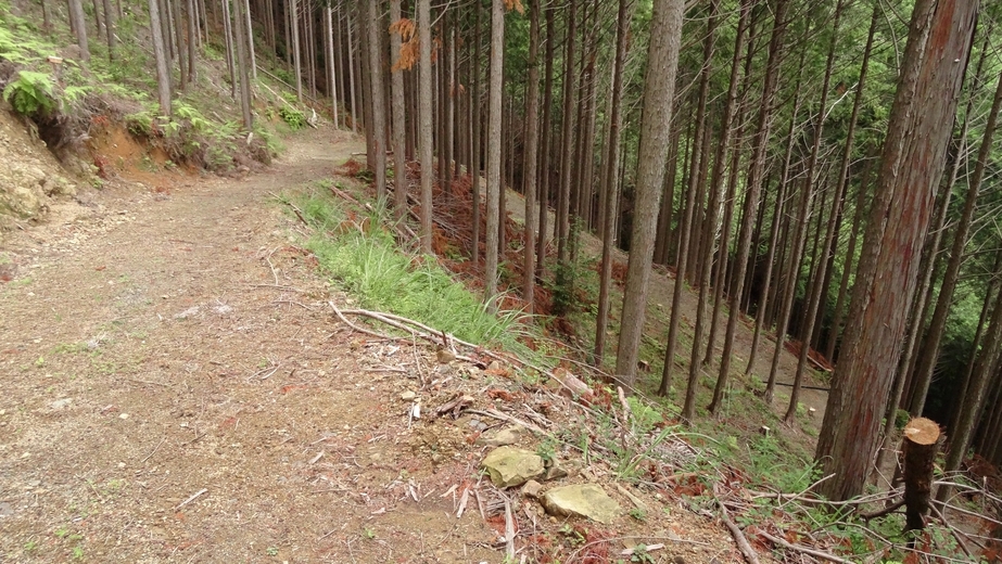 View down to the CP 35N 138E from a distance of 18 m