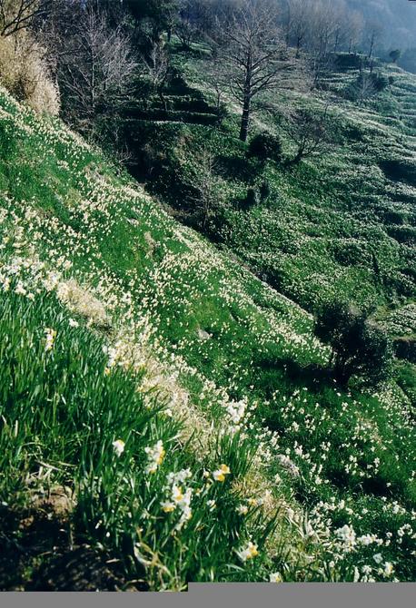 Mountain slopes near the confluence