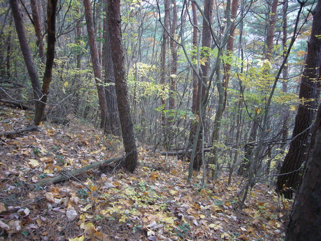 Overview of the point from northeast back