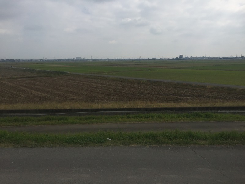 Looking southeast at the confluence in the middle distance, from the levee 610 meters to the northwest of the point.