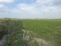 #5: View to the north from the confluence.