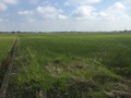 #6: View to the east from the confluence.