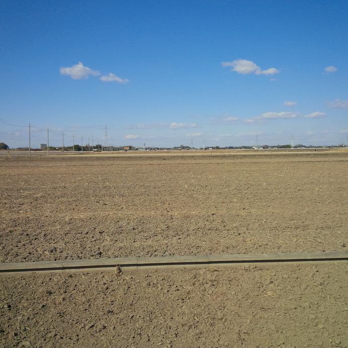 Looking North from Confluence