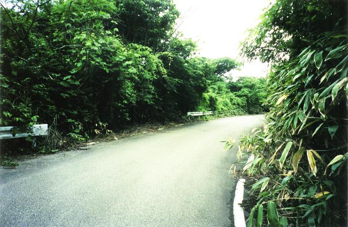 Facing south, down the mountain and away from Nanao.