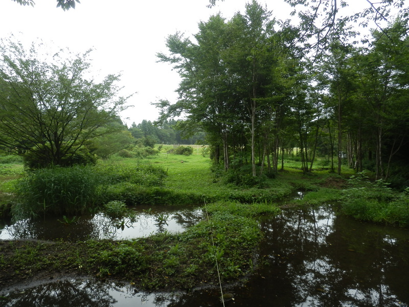 The Confluence - View to the North