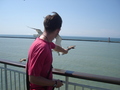 #6: Feeding the see gulls