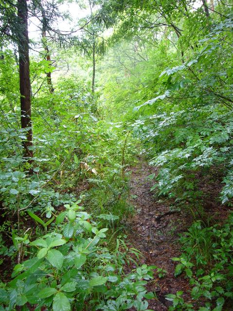 The end of path, 150 meters from the point