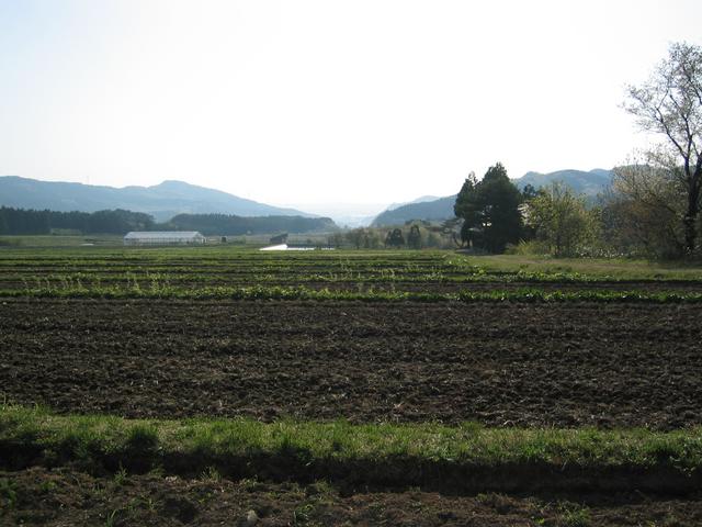 Confluence west view. Looking out to the sea of Japan.