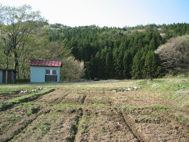 North view of confluence.