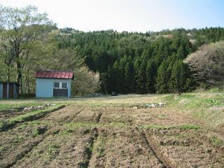 #1: North view of confluence.