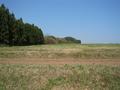 #8: Confluence east view.  Deteriorating car in shade of trees.