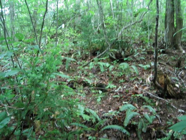 General view of confluence.