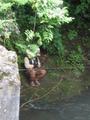 #5: Fisherman next to bridge.