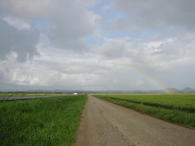 A view around the confluence