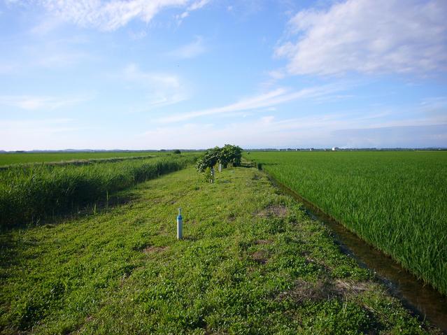 North View of the closest point