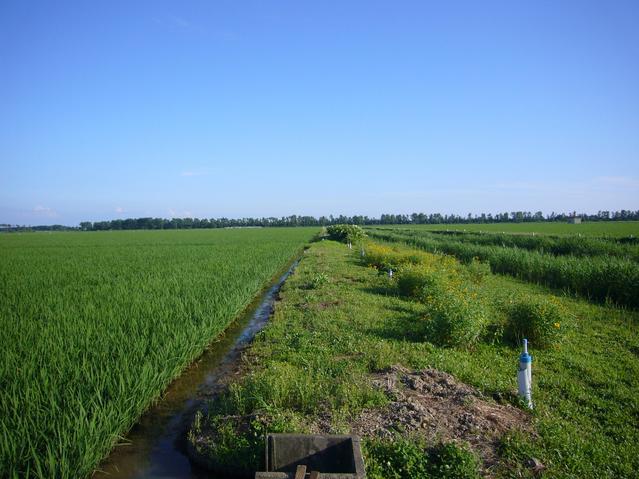 South View of the closest point