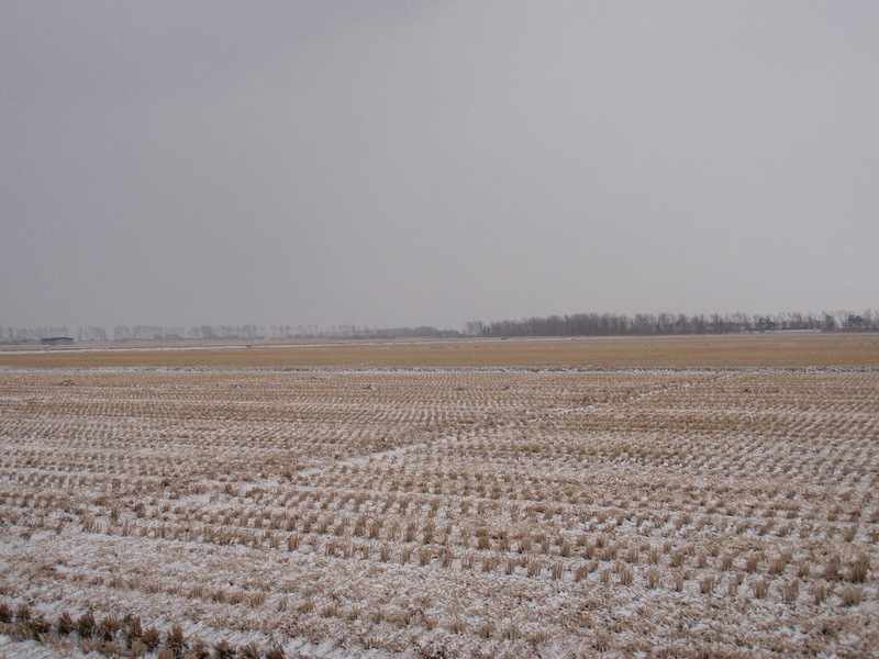 South from the confluence