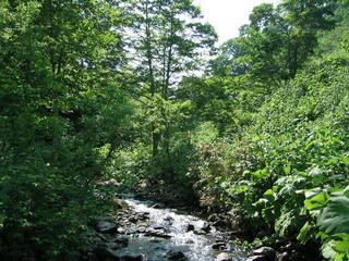 #1: In the stream, 2.15 km from the point.