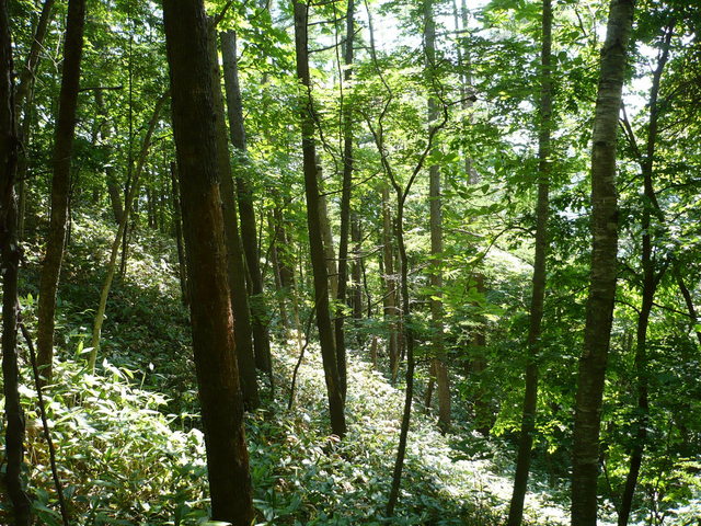 Ease view of confluence.