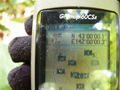 #6: GPS screen.