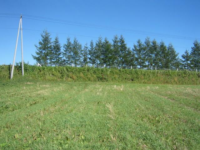 East view of confluence.