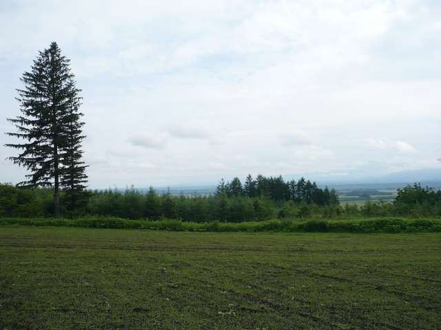 South view of confluence.