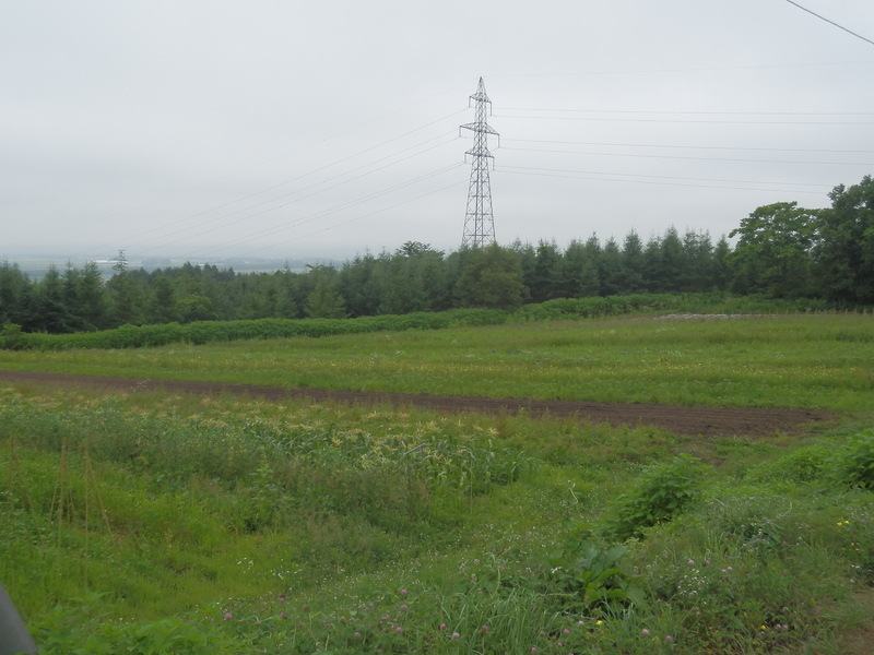 The Confluence from 40 m