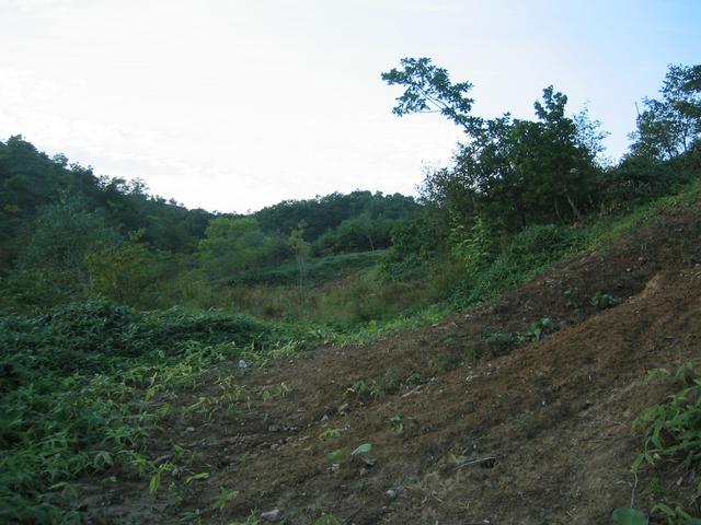 Mudslide at north view of confluence.