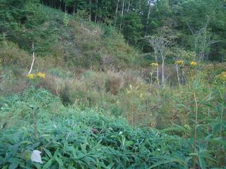 #1: General view of confluence.