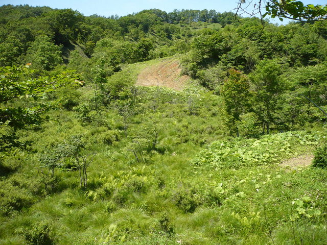 General view of confluence from east-side slope..