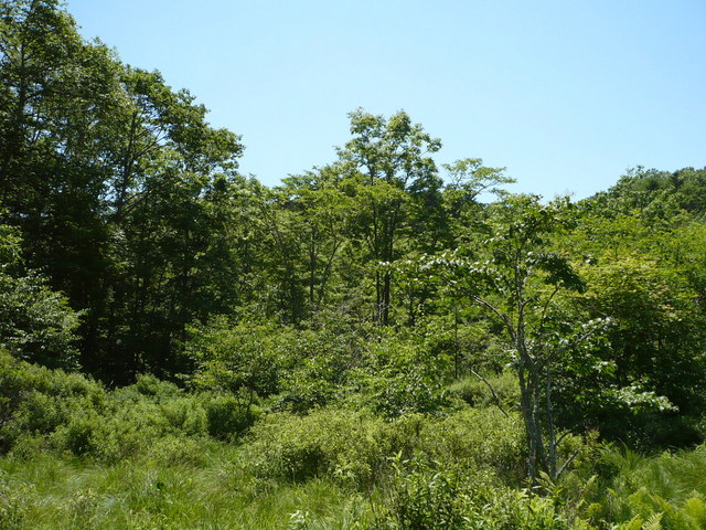 South view of confluence.