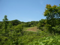 #5: West view of confluence.