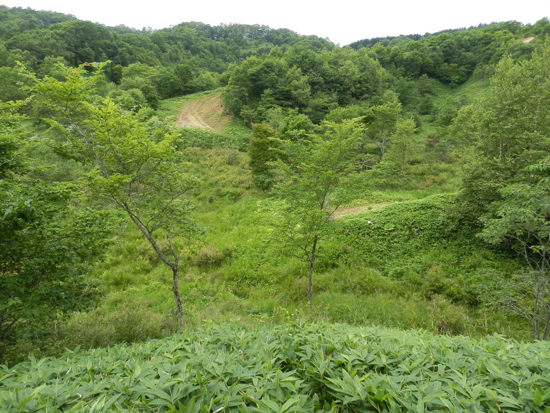 The Confluence from 30 m