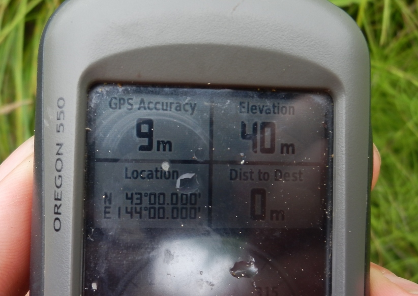 GPS Reading